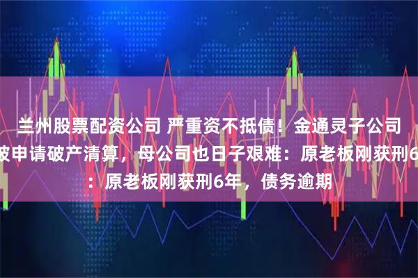 兰州股票配资公司 严重资不抵债!金通灵子公司成立仅6年,被申请破产清算,母公司也日子艰难:原老板刚获刑6年,债务逾期
