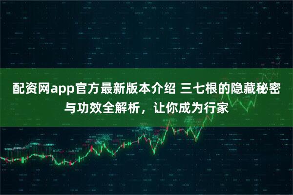配资网app官方最新版本介绍 三七根的隐藏秘密与功效全解析，让你成为行家